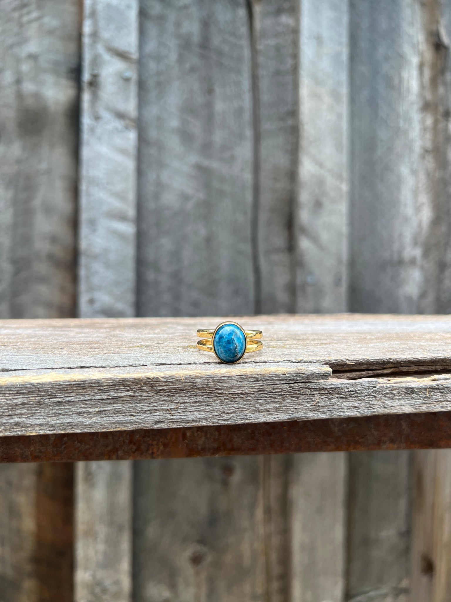 Deep Blue Kyanite Double Band Adjustable Ring- Gold Alchemia #81