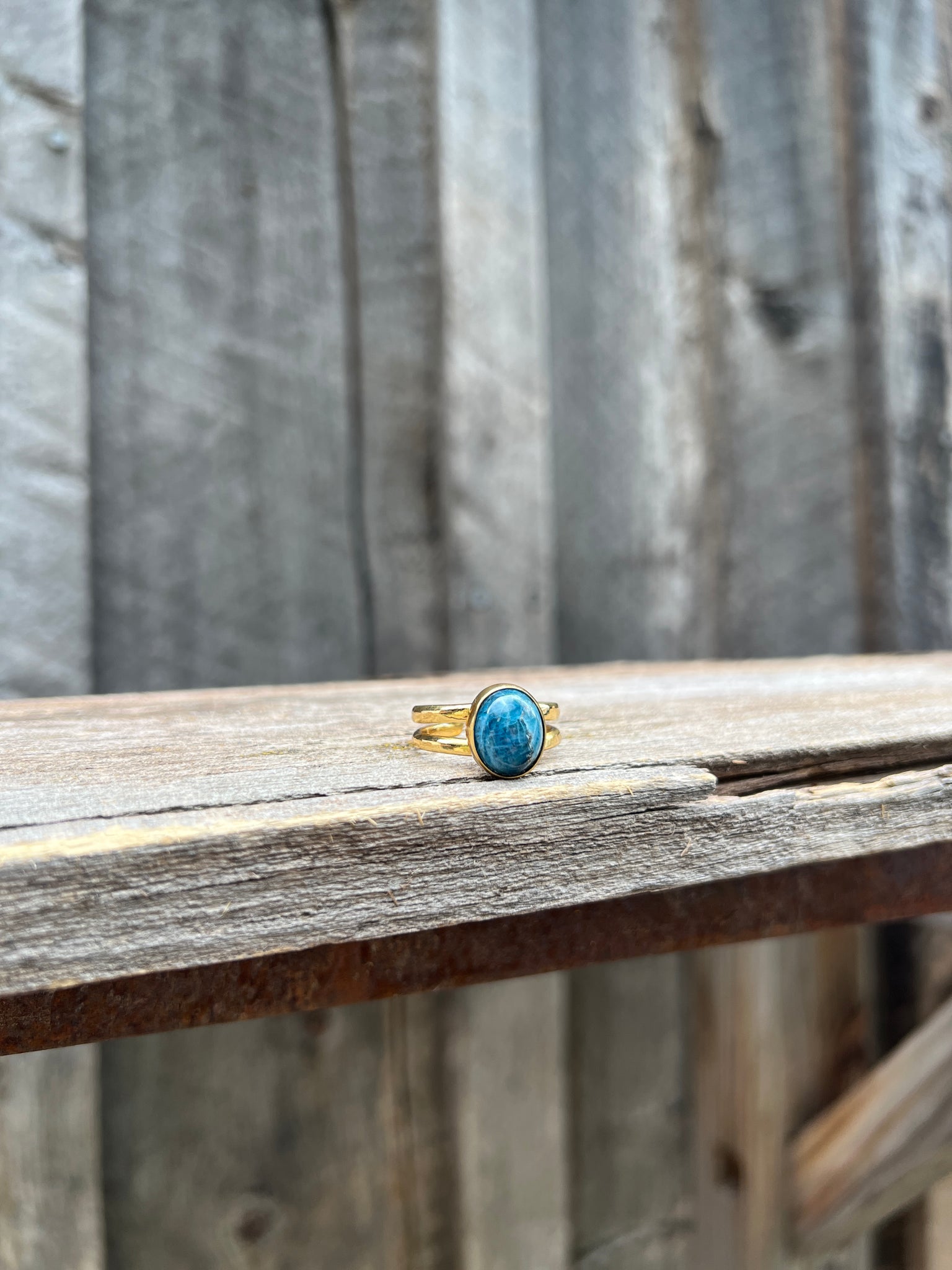 Deep Blue Kyanite Double Band Adjustable Ring- Gold Alchemia #81