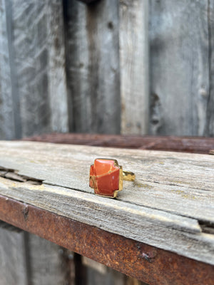 Red Creek Jasper ring in Gold Alchemia D87