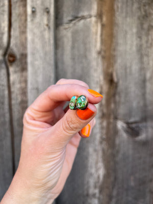 Sonoran Gold Turquoise Post Stud Earring in Gold Alchemia T37