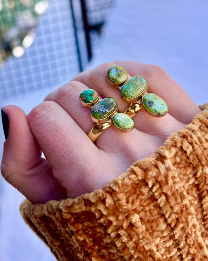 Sonoran Gold Turquoise & Gold Alchemia Adjustable Ring