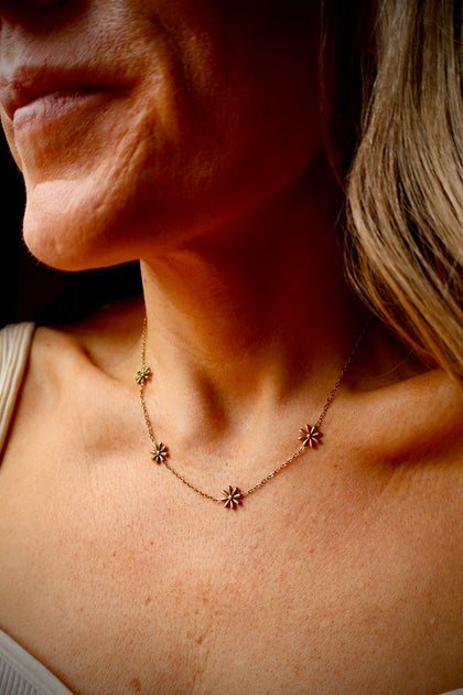 Coll's Favorite Daisy Chain