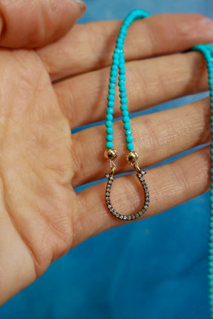 Lucky Horseshoe Diamond Necklaces EW67