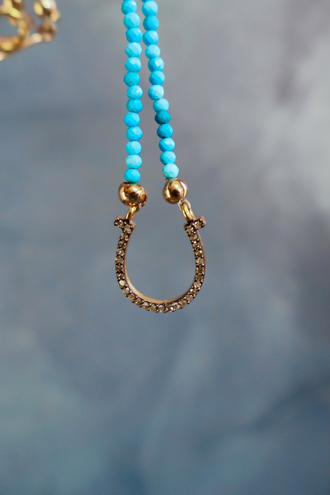 Lucky Horseshoe Diamond Necklaces EW67