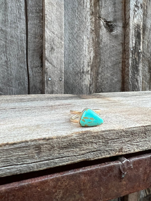 Patagonia Turquoise Double Band Adjustable Ring- Sterling Silver #91