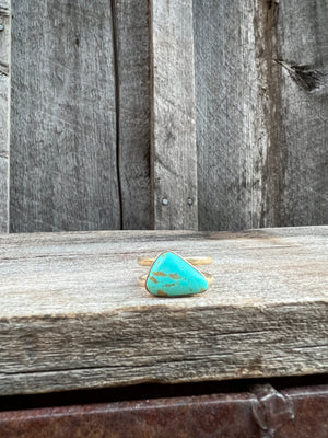 Patagonia Turquoise Double Band Adjustable Ring- Sterling Silver #91