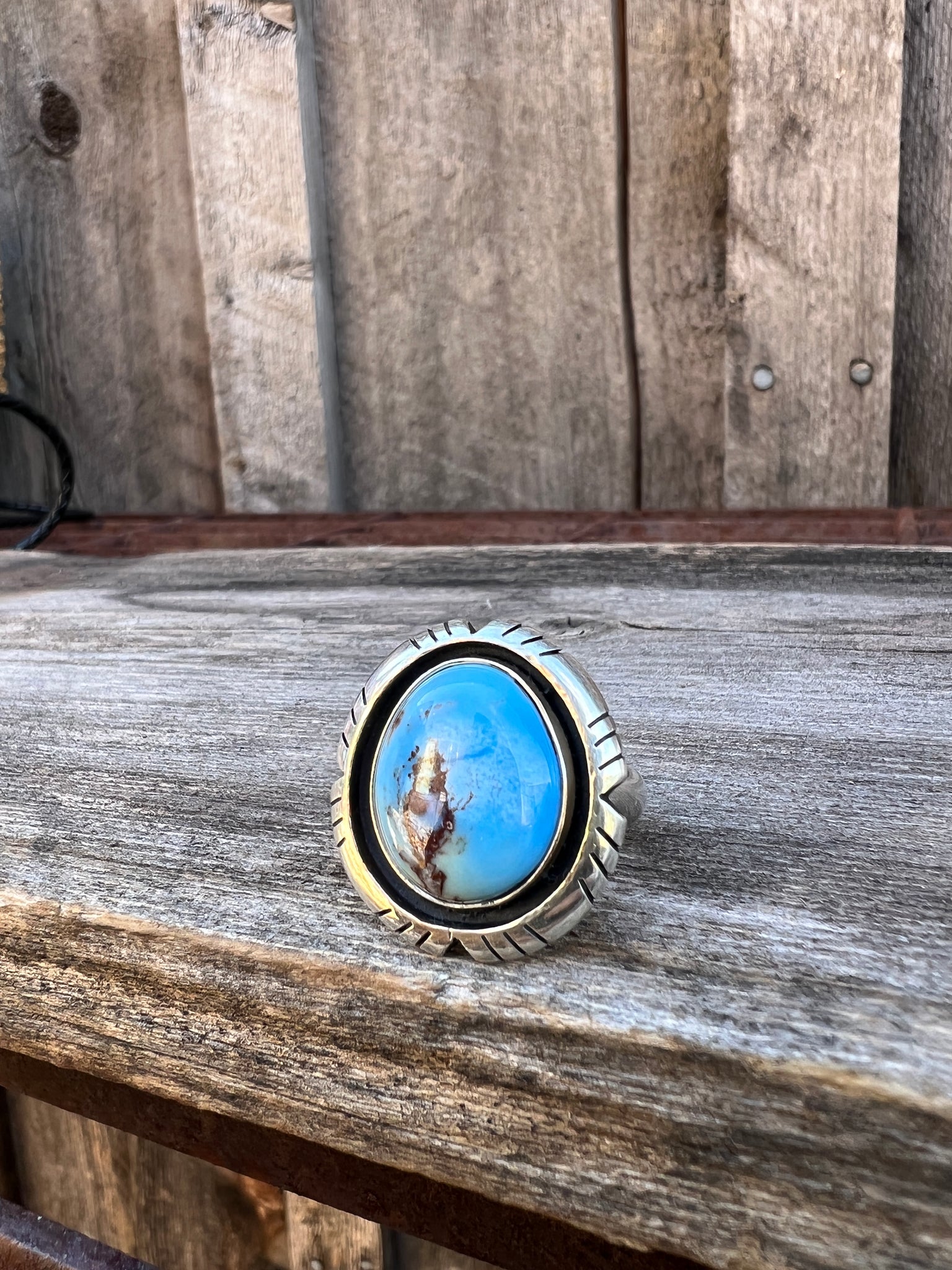 Golden Hill Turquoise & Sterling Silver Adjustable Ring with Detail Band #3